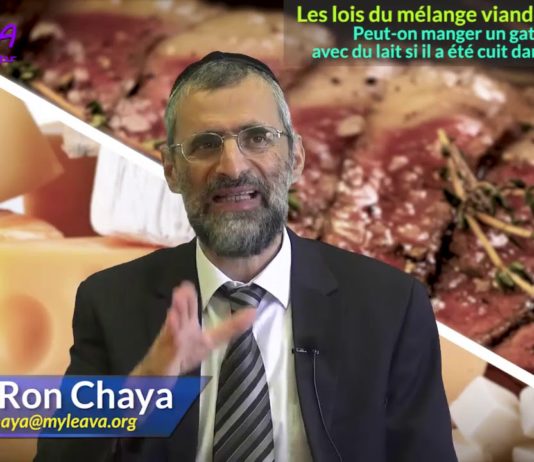 Les lois de mélange – Partie 7 – Les lois du four et des casseroles – Rav Ron Chaya