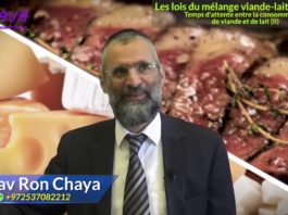 Lois de mélange P13 : Combien de temps attendre entre la viande et le lait (suite) ?