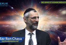 Big Bang, hommes préhistoriques et le chaînon manquant…