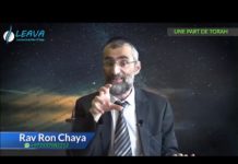 Quelle est ma part dans la Torah ? explication kabbalistique