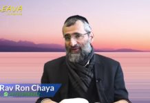 La révolte de Yéoudah – Or Ha’haim sur Vayigach