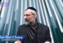 L’homme à l’image de D.ieu : vraiment ?