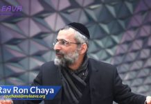 Naissance, mort et réincarnation dans la Torah et la Mystique juive