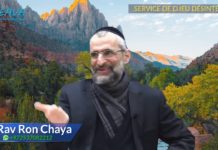 Le service de D.ieu désintéressé, le service par amour