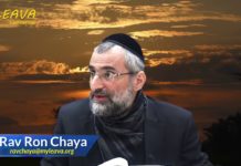 Le processus de la sortie du peuple juif hors d’Égypte – OrHa’haim sur Chémot