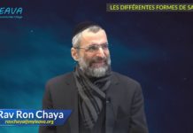 Les différentes formes de sagesse dans la Torah d’Israël