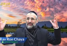 Le don de soi à D.ieu – Or Ha’Haim HaKadoch sur Térouma