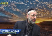 Moise : futur roi d’Israël – Or Ha’haim Hakadoch sur Tétsavé