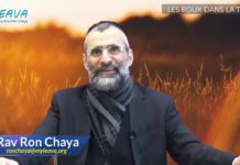 Les roux dans la Torah