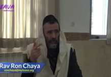 29 – S’interrompre pendant la Amida – série La Halakha du Jour