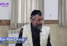 08 – Les 248 mots du Chéma – série La Halakha du Jour