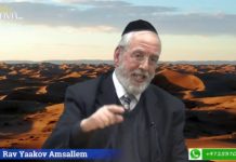 Baba Salé : Grandeur et Sainteté (partie 2) – RAV YAAKOV AMSALLEM