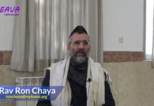 03 – Les interdits de la Torah – Série La Halakha du Jour