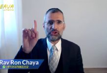 L’humilité est la marque des Géants de la Torah – Les Joyaux de la paracha Vayikra 2021