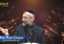 La Tsédaka, un Hessed aux effets inestimables – Les joyaux de la paracha Ki-Tissa 2021