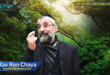 Y-a-t-il des créatures inutiles ?