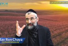 La valeur des 613 Mitsvot dans la Torah