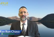 La purification du Métsora , prélude à la délivrance finale – Or Ha’Haim sur parachat Métsora