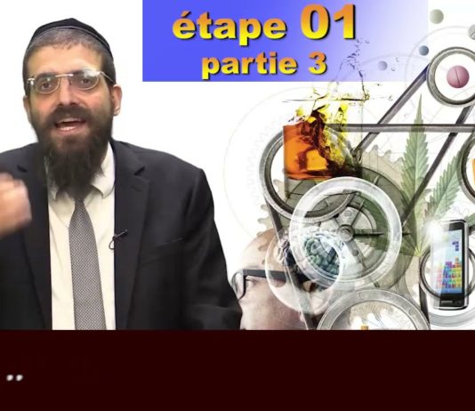 Sortir de l’enfer des addictions – étape 01- p3 – Mon journal de combat