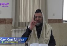 33 – La gravité du Bitoul Torah – Série La Halakha du Jour