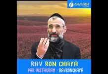 Kadima : connexion haut débit avec Hachem