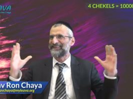 4 chékalim transformés en 100.000 dollars ..!