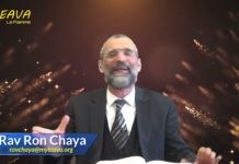 Le drapeau de l’étude de la Torah – Les joyaux de la Paracha Emor