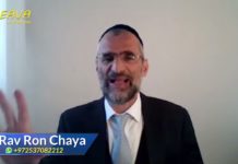 Du sept au huit mystique – Les joyaux de la Paracha CHÉMINI