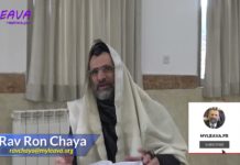 48 – La Mitsva de réjouir les mariés – Série La Halakha du Jour