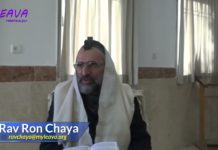 50 – Faire le Birkat Hamazone sur du vin – Série La Halakha du Jour