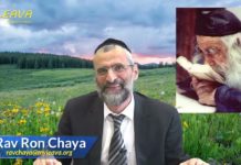 Le Steipler face à l’argent, quelle leçon !