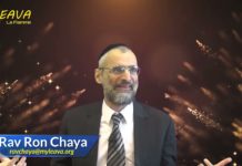 Argent : On a tout à y gagner, c’est un cadeau incroyable – Joyaux de la paracha Nasso