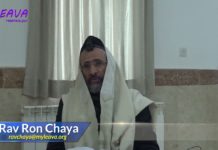 55 – Ne pas s’interrompre entre les deux Téfilines – Série La Halakha du Jour