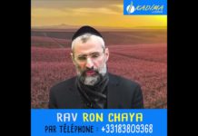 Kadima : se brancher à l’éternité en haut-débit