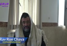 61 – Téka Béchoffar Gadol – Série La Halakha du Jour