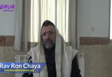 46 – Qui doit donner le Maasser ? Série La Halakha du Jour