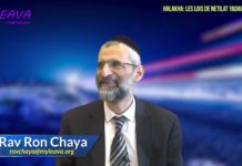 Nétilat Yadaïm 03, la ségoula de protection préconisée par le Gadol Rav Kanievski – Rav Ron Chaya