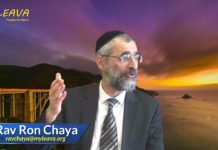 L’instant toujours mieux : Une raison de vivre pour le moins inattendue