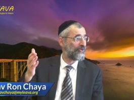 L’instant toujours mieux : Une raison de vivre pour le moins inattendue