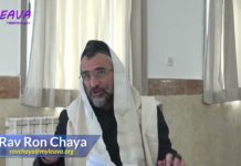 77 – Mon entreprise ne peut pas fermer le Chabbat ? Halakha du jour