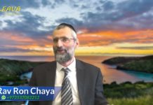 Cette qualité raffinée d’un grand Sage d’Israël qui nous concerne