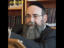 Devenir un Homme ! Rav Cohen Arazi – Kadima 2021