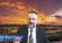 Haine gratuite dans le monde et en Israël : SOS du Rav Ron Chaya