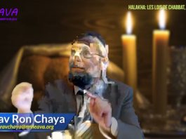 Les lois de Chabbat – Trier 03 – Les aliments de même type