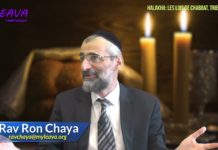 Les lois de Chabbat – Trier 04 – Pour une utilisation immédiate