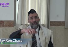 87 – Donner de son plat pendant Chabbat ? Série Halakha du Jour