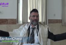 88 – Les bougies de Chabbat – Série La Halakha du Jour