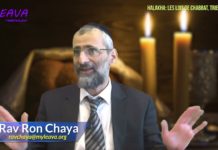 Boire un café – Les lois de Chabbat – Trier 05 – Rav Ron Chaya
