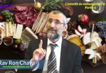 L’interdit de mélanger lait et viande – Partie 05