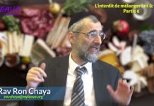 L’interdit de mélanger lait et viande – Partie 06